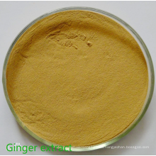 Natural Largehead Atractylodes Rhizome Extract Powder